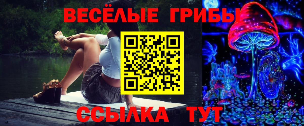 Псилоцибиновые грибы мицелий Кизилюрт